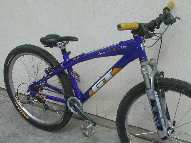 HansGT1