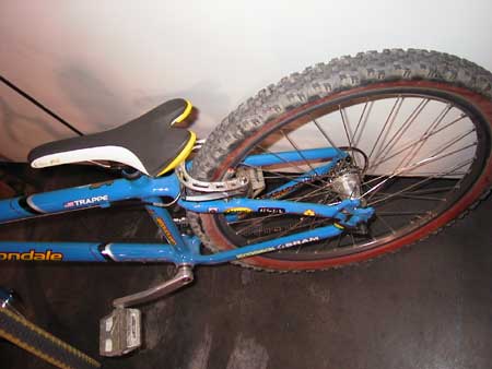 rear hub