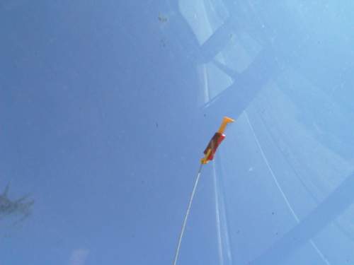 Trip WeinerDog