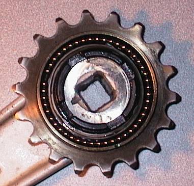 Freewheel ACS Inside w Pawls