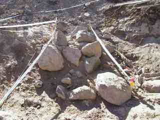 section