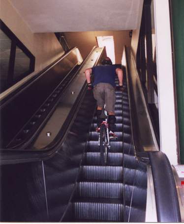 austin escalator small